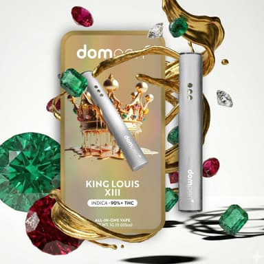 dompen — Louis XIII