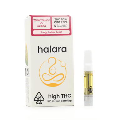 Halara — Watermelon Z