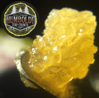 Humboldt Terp Council — Trainwreck - Humboldt Terp Council