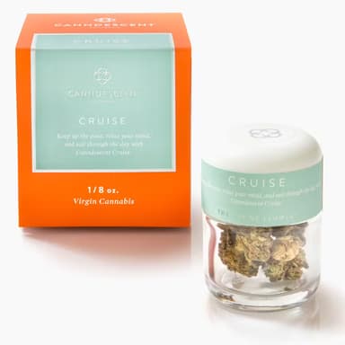Canndescent — Cruise - Cereal Milk - Bigs