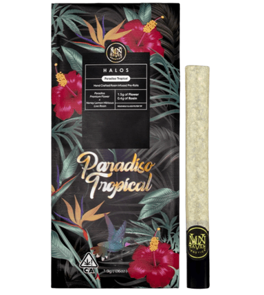 Maven Genetics — Halo - Paradiso Tropical