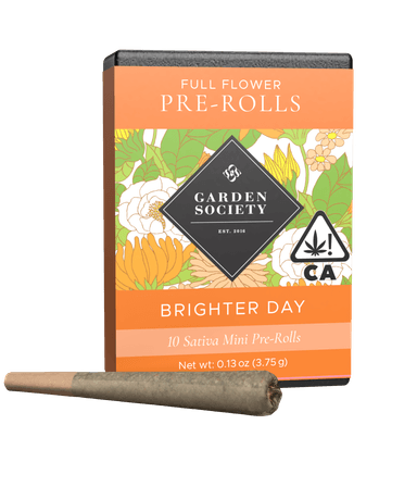 Garden Society — Brighter Day - Blue Dream