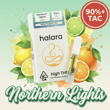 Halara — Northern Lights