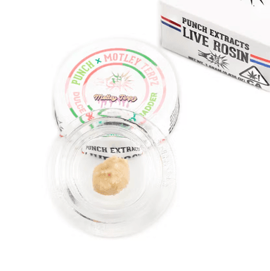 Punch — Extracts Tier 4 Cold Cure - Amarelo Boof