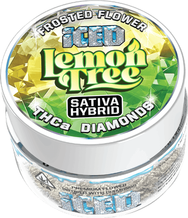 ICED — Lemon Tree