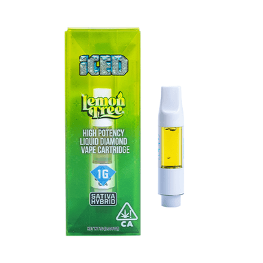 ICED — Lemon Tree