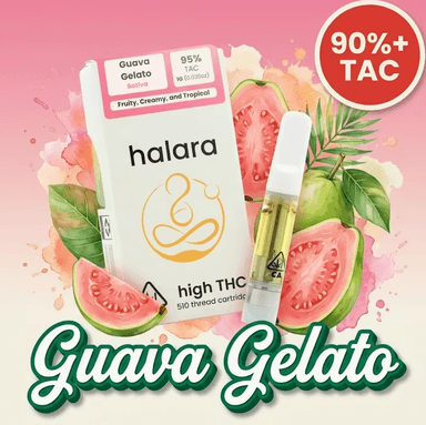 Halara — Guava Gelato