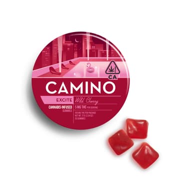 CAMINO — Exhilarate - Wild Cherry