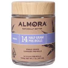 ALMORA FARMS — GMO