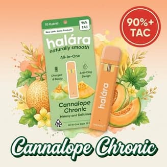 Halara β Cannalope Chronic