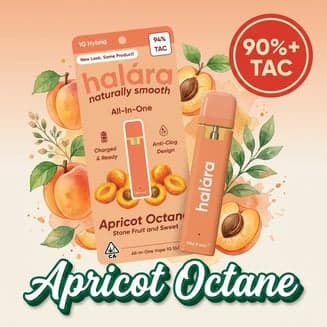 Halara β Apricot Octane