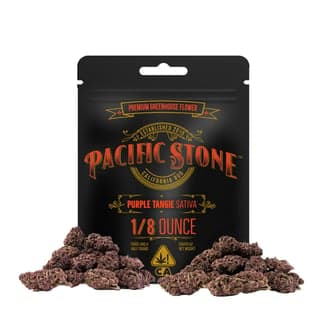 Pacific Stone โ Purple Tangie