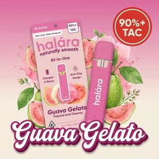 Halara β Guava Gelato