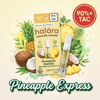 Halara β Pineapple Express